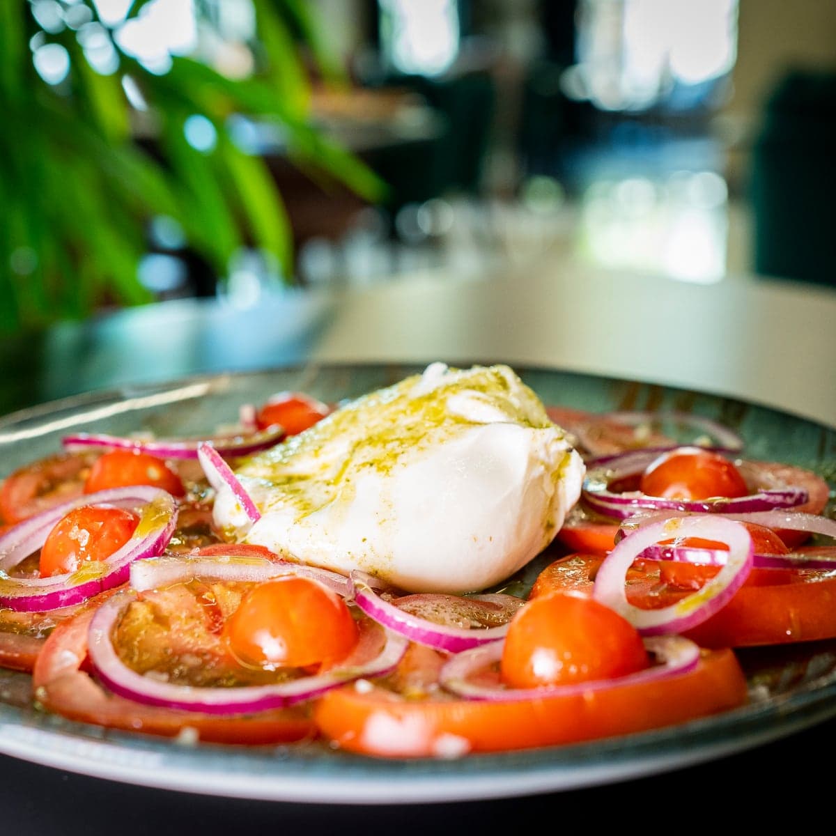 Burrata sobre tomate en rodajas, tomates cherry y cebolla morada