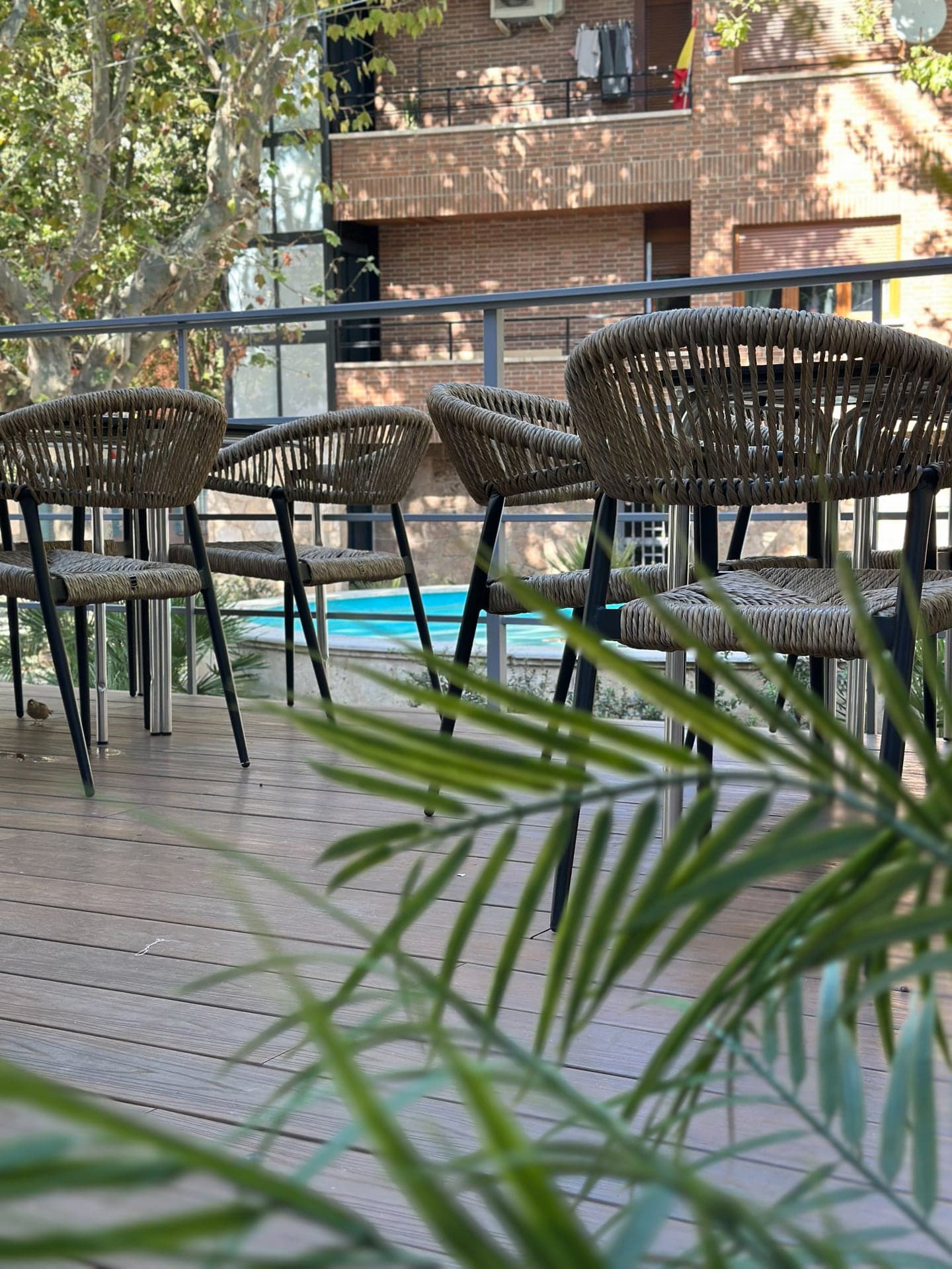 La terraza: sillas de mimbre y mesas sobre tarima, con la fuente de la plaza detrás