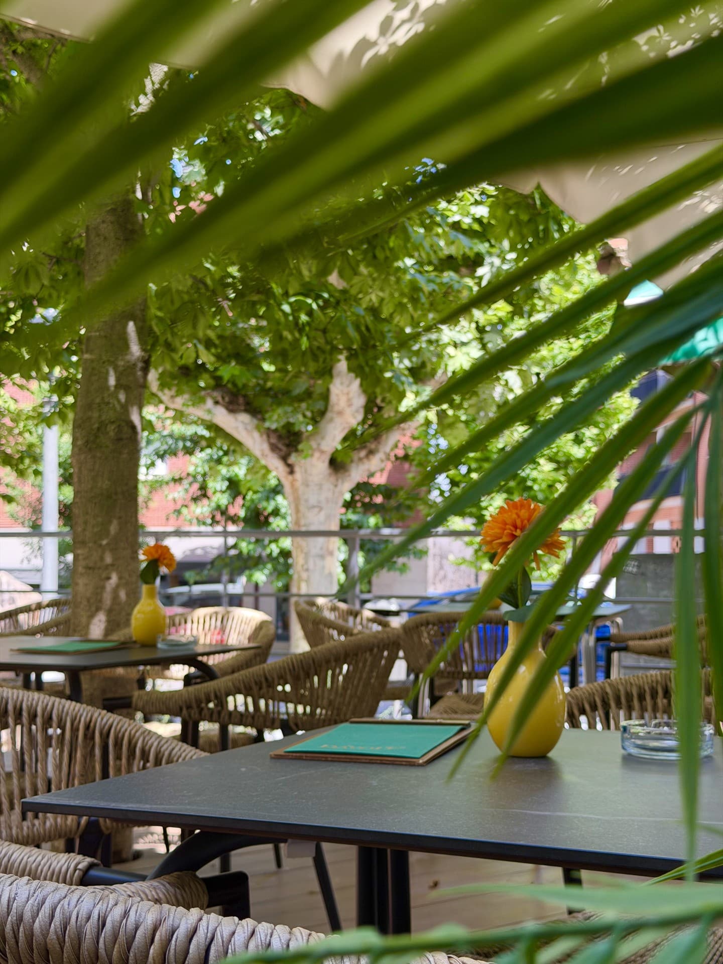 La terraza bajo los árboles, con sillas de mimbre y flores en jarrones amarillos